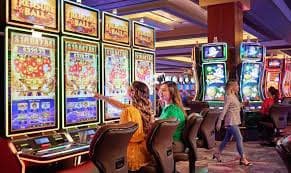ck44app bet